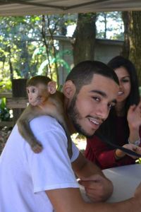 Monkey Encounter