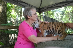Tiger Cub with grandma
