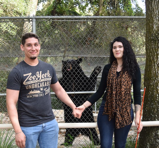 bear with couple