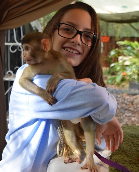 monkey f