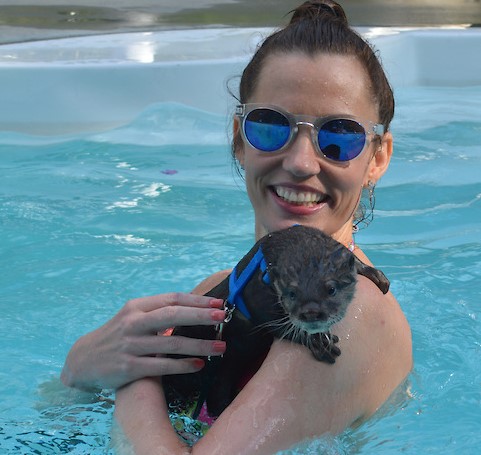 otter swim