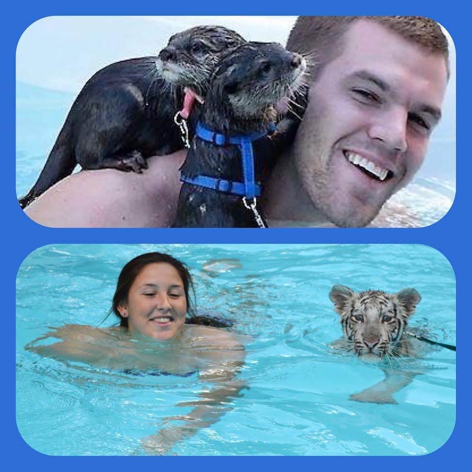 swim combo