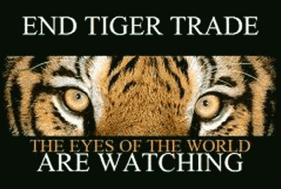 Wild Animal Conservation