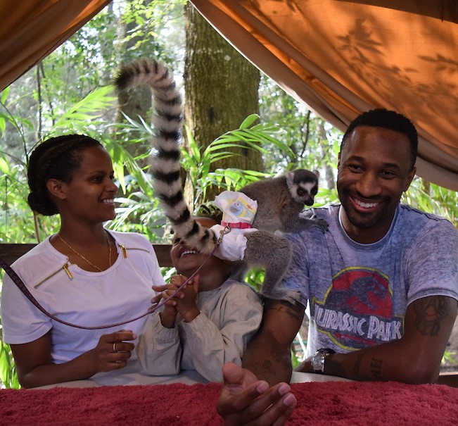 lemur fun